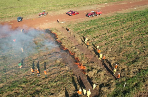 Imagem de compartilhamento para o artigo MS é pioneiro na implementação do Manejo Integrado do Fogo como prevenção a incêndios da MS Todo dia